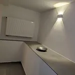 Neta *